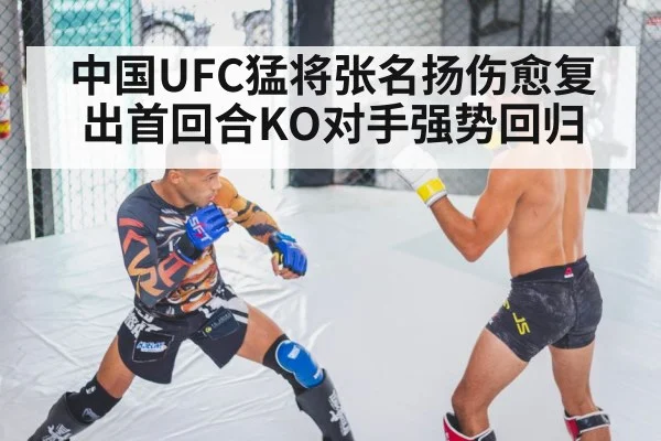 中国UFC猛将张名扬伤愈复出首回合KO对手强势回归